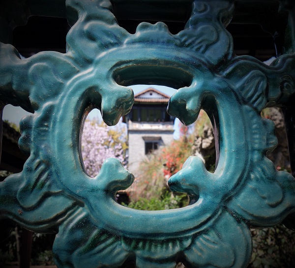 药学院-缪迎羚-可园一景.jpg