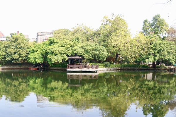 作品名称：绿映  李新梅  药学院.jpg